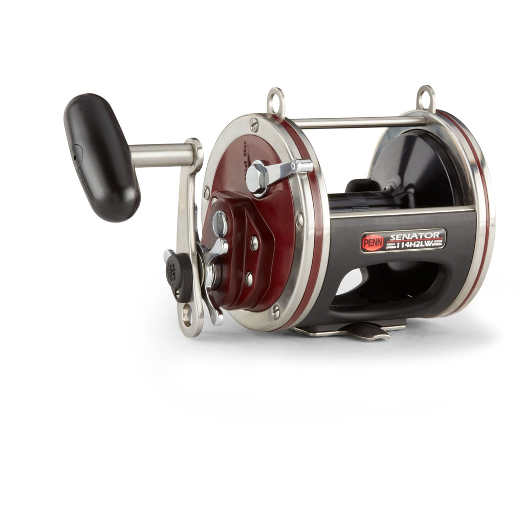 Special Senator® Star Drag Conventional Reel