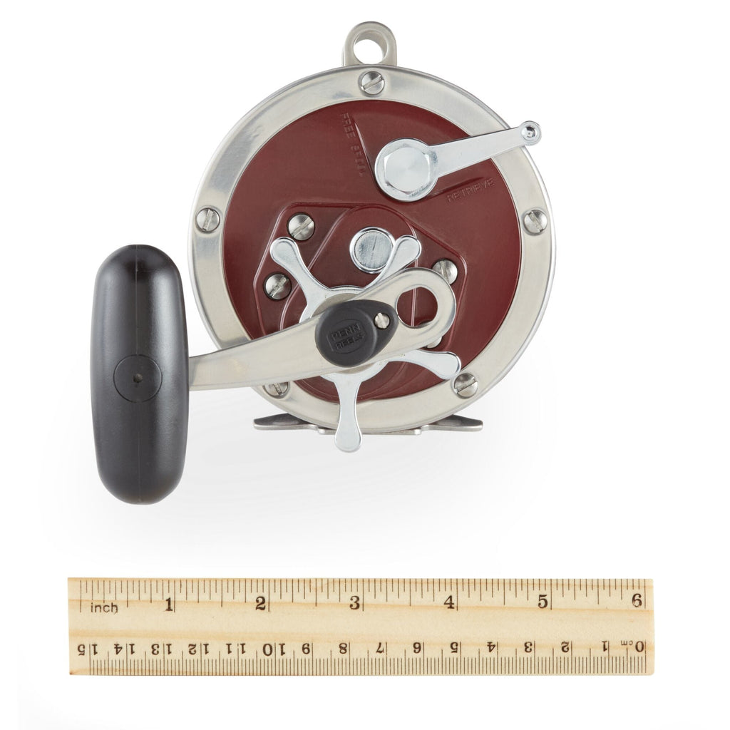 Special Senator® Star Drag Conventional Reel