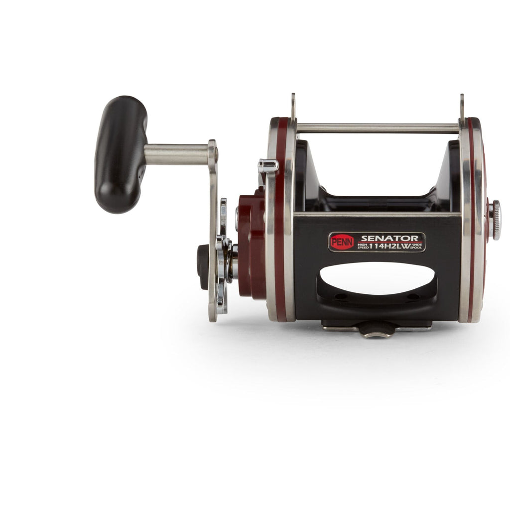 Special Senator® Star Drag Conventional Reel