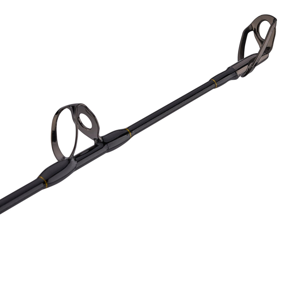 Squall® II Lever Drag Conventional Combo