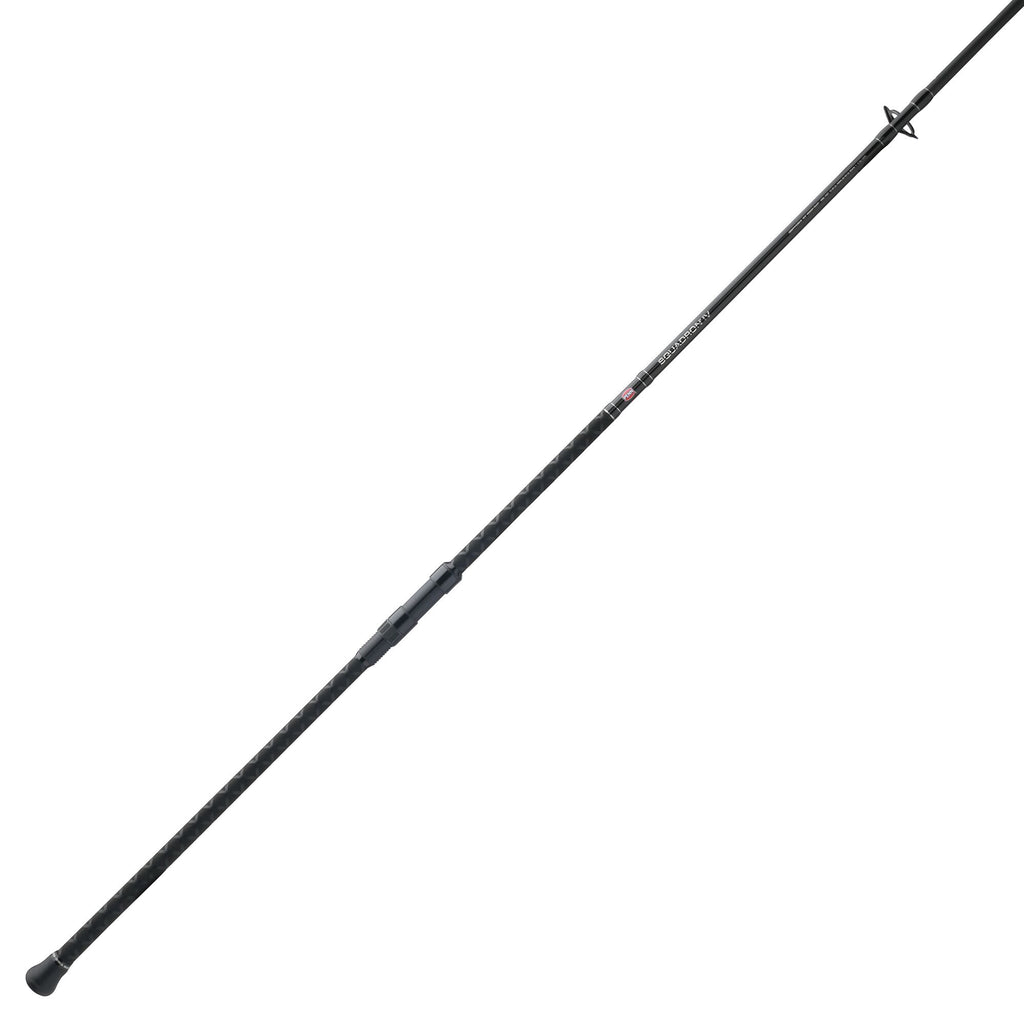 Squadron® IV Surf Spinning Rod